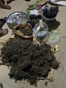 Police raid criminal black spots in Ibaka, arrest 23 suspects