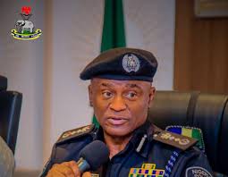 IGP Disu scraps police squads, orders restructuring
