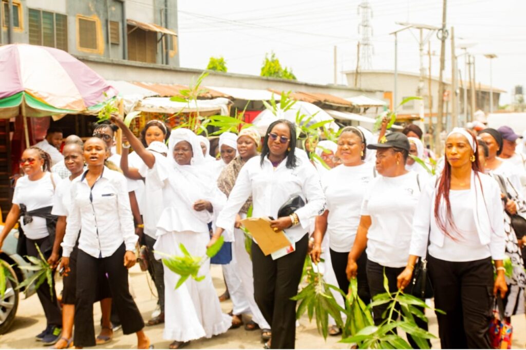 Lagos women step up pressure for special seats bill