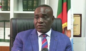 Primaries: We're strong, united in APC - Enang