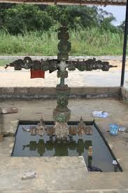 Women in Otuabagi community, Ogbia Local Government Area of Bayelsa State, have restored a degraded section of the Oloibiri swamp forest by planting 7,750 raffia palms, earning commendation from the community's traditional ruler, Chief Wisdom Otolo. Otolo, the head of the Agili community in Otuabagi, praised the Otuabagi Women Farmers’ Cooperative Society (OWFCS) for the initiative, which was carried out in the Ekpadior Forest between February and May.