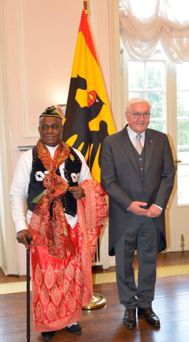 Enang presents credentials to German President, assumes office