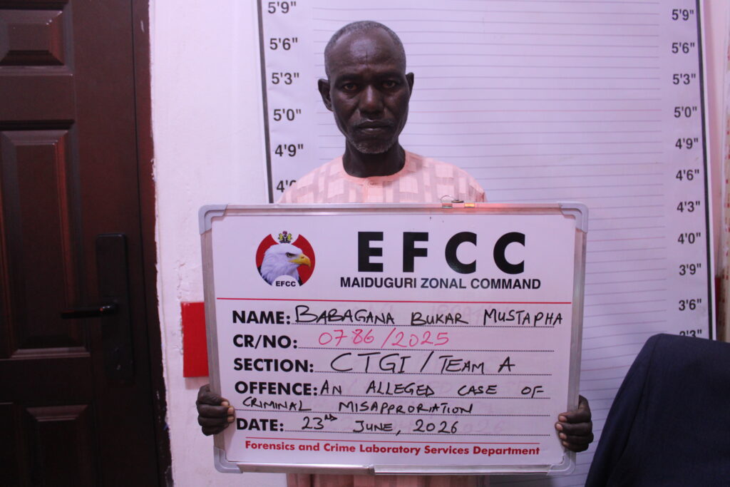Maiduguri court convicts two over N14.8m fraud