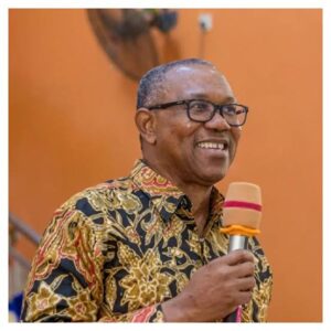 Obi unveils vision for productive Nigeria