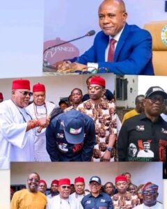 Enugu suspends monarch amid questions over Obi visit
