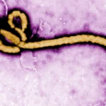 Ebola patient flown to Switzerland as Nigeria tracks contacts