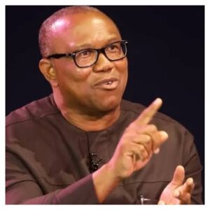Obi: I never asked Nigerians abroad to abandon families