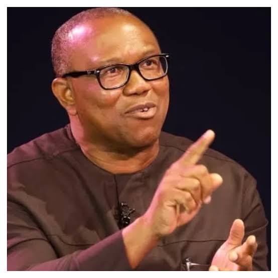 Obi: I never asked Nigerians abroad to abandon families
